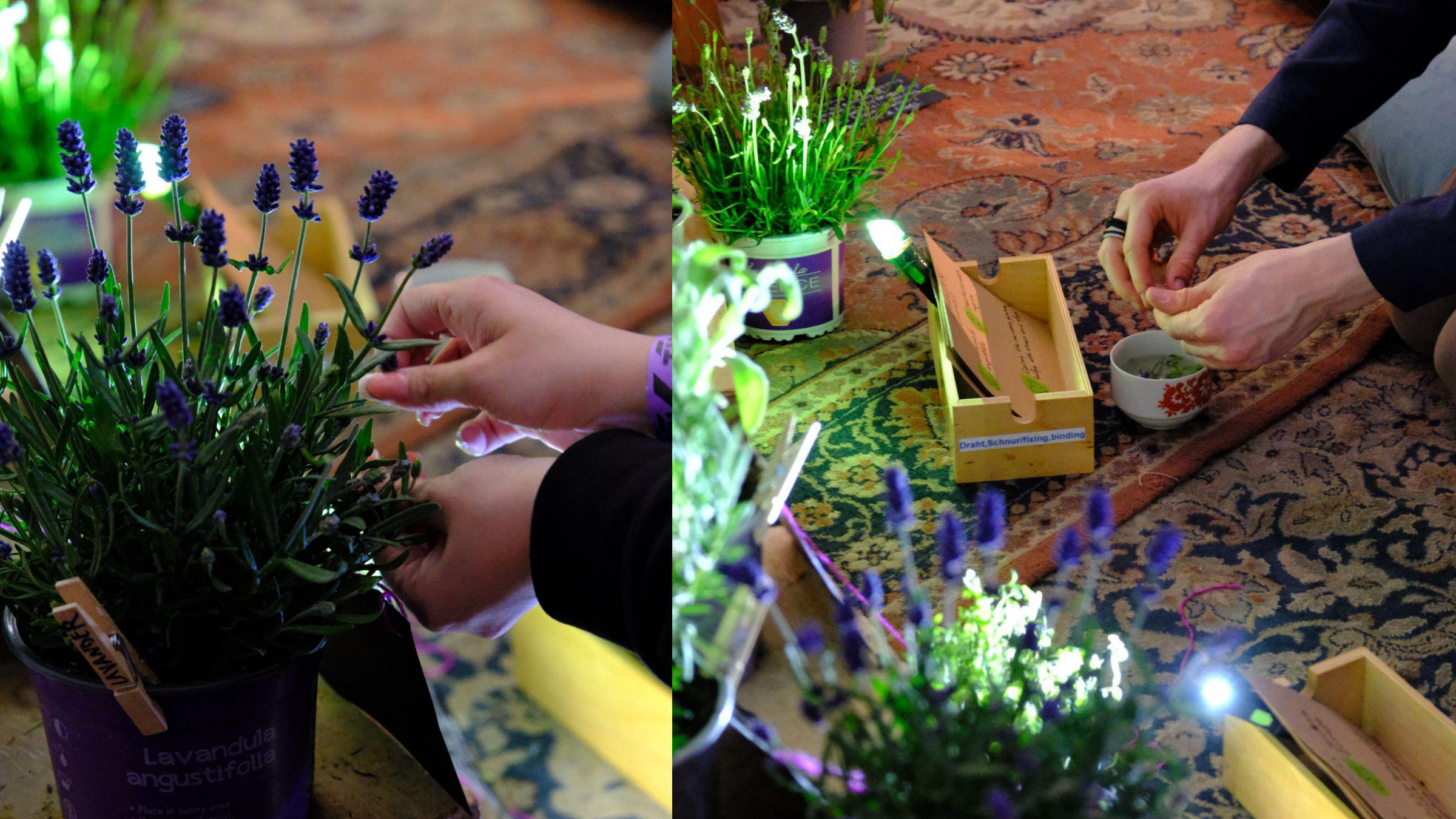 Rooted Together — documentation page 7
